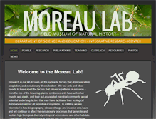 Tablet Screenshot of moreaulab.org